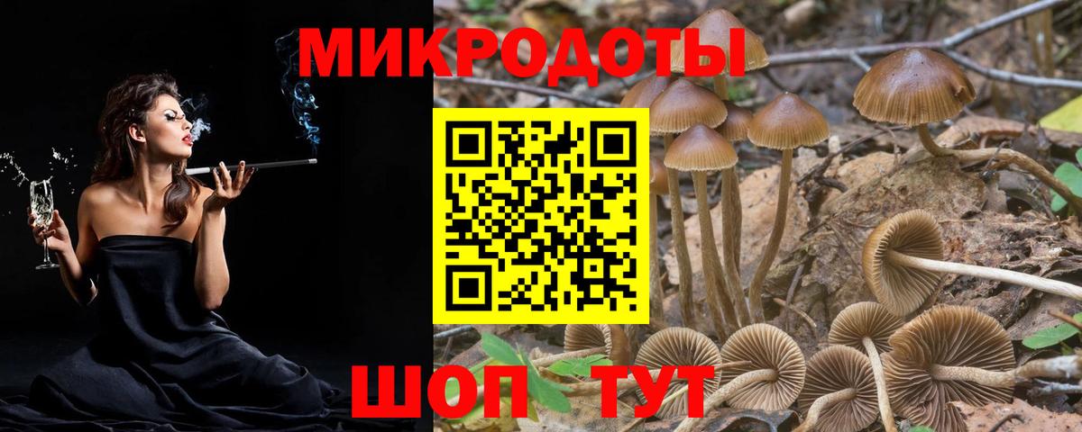 Псилоцибиновые грибы GOLDEN TEACHER  Вход с VPN  Вышний Волочёк 